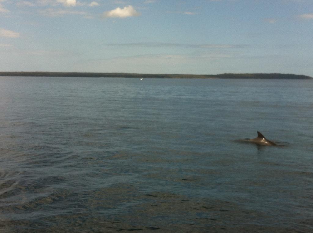 Motel Jervis Bay Mariners Huskisson Esterno foto