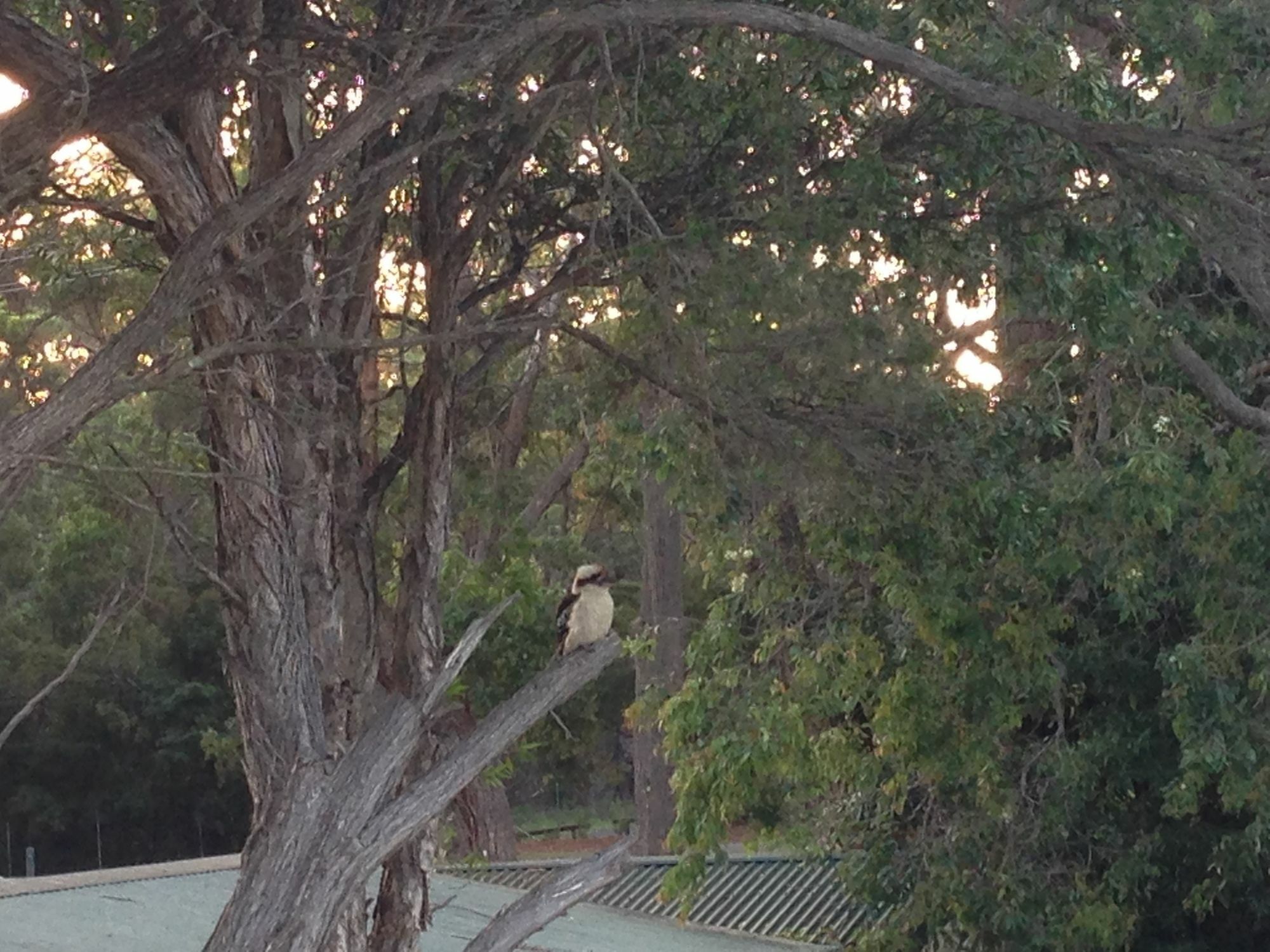 Motel Jervis Bay Mariners Huskisson Esterno foto